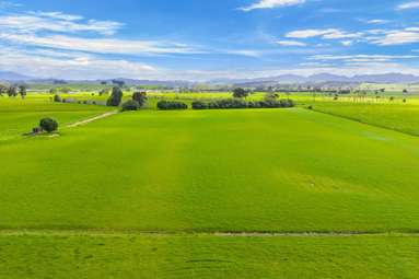 125 Awakino Point East Road_3