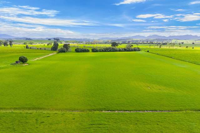 125 Awakino Point East Road Dargaville_3