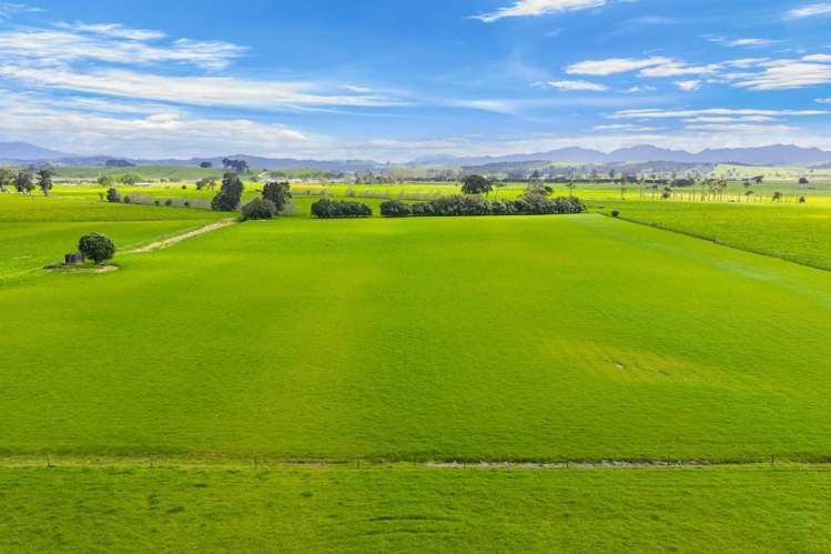 125 Awakino Point East Road Dargaville_3