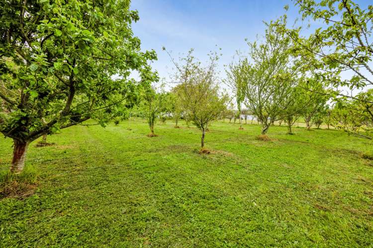 306 Upper Stuart Road Eltham_11