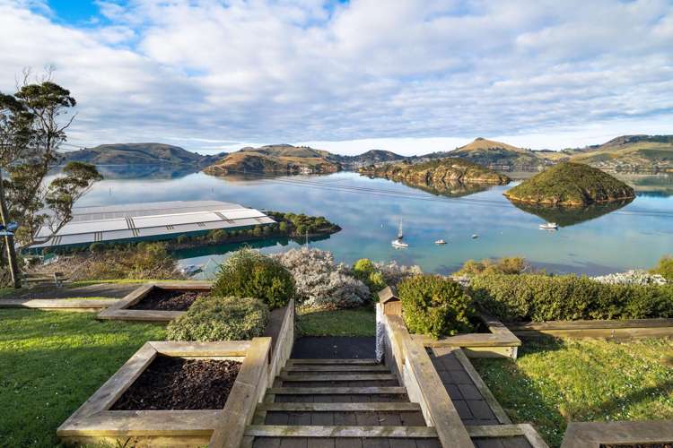 34 Island Terrace Port Chalmers_17