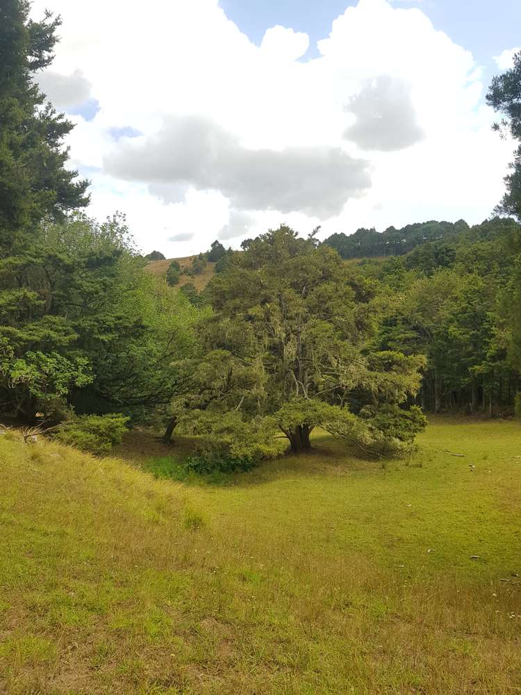 160 Otuhi Road Mangapai and Surrounds_5