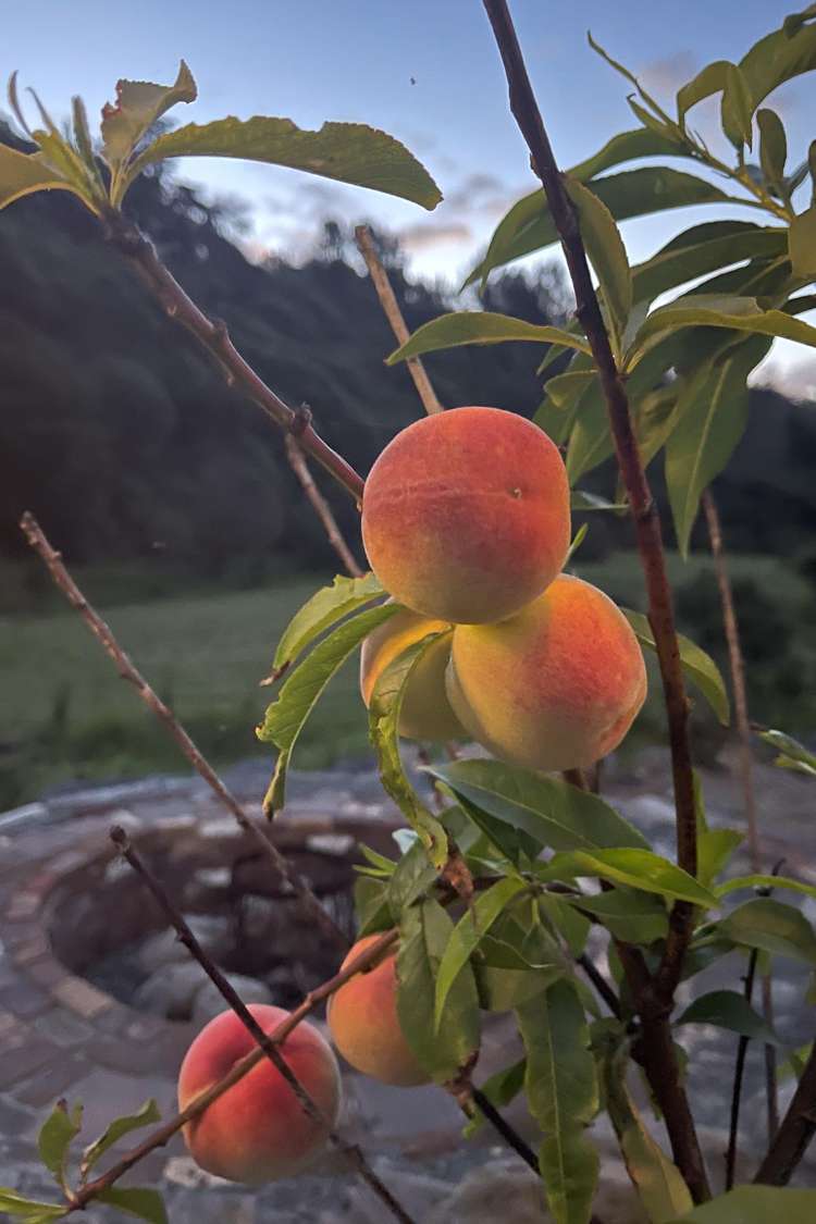 32 Admiral Way Tutukaka_19