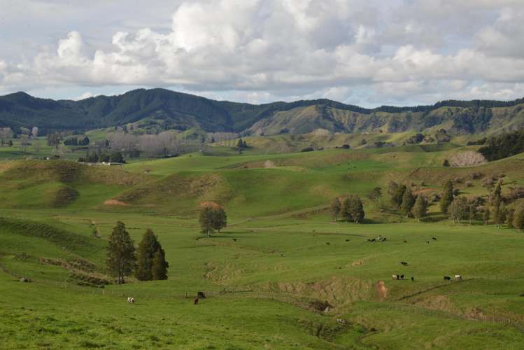 220 Tikitiki Road Te Kuiti_10