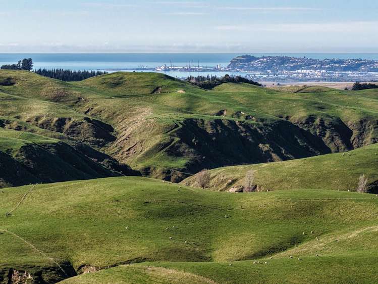 717k Puketitiri Road Puketapu_36