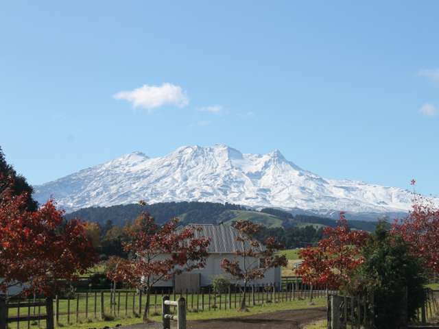 50 Shannon Street Ohakune_1