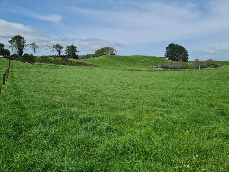 0n Upper Stuart Road_3