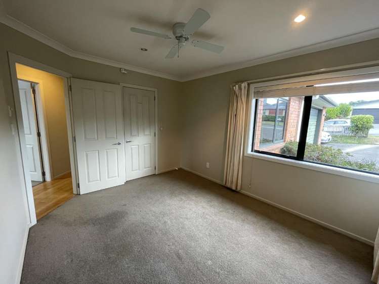 5 Catlins Glen Aotea_12