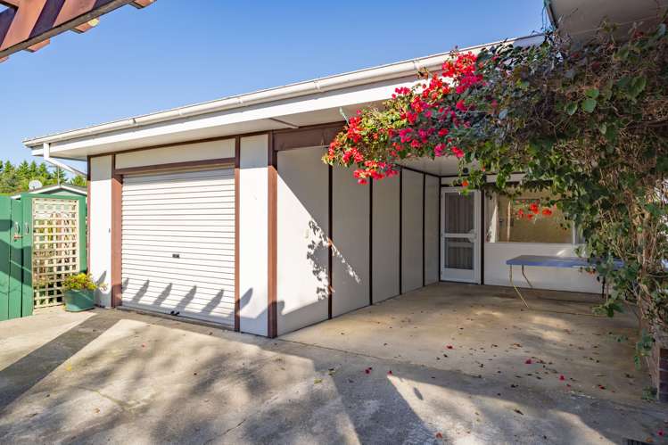 169 East Street Greytown_19