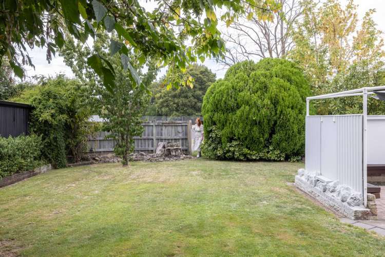 809a Oliphant Road Raureka_18