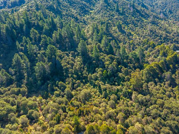 Lots 3 4 5 Nydia Bay Marlborough Sounds_56