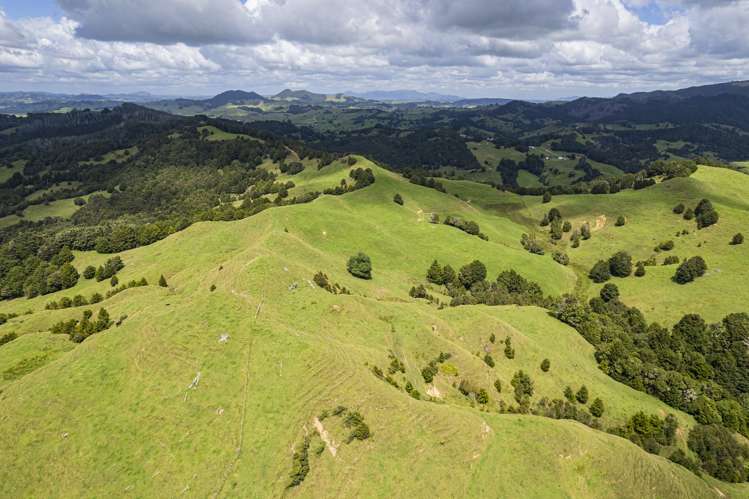 632 Marlow Road Maromaku_26