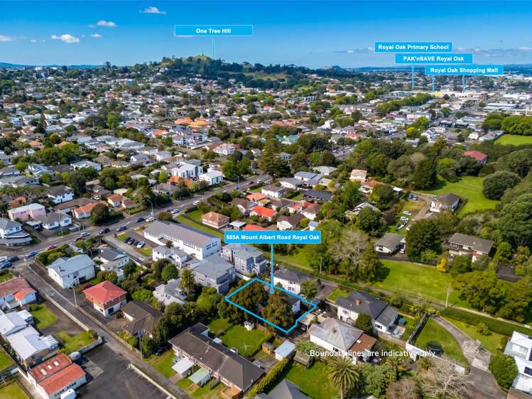 585A Mount Albert Road Royal Oak_24