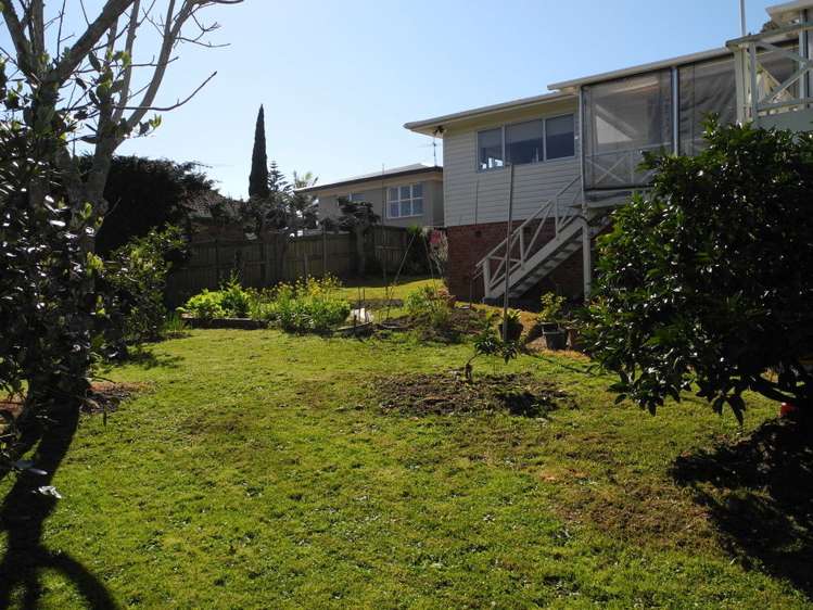 163 Cook Street Howick_8