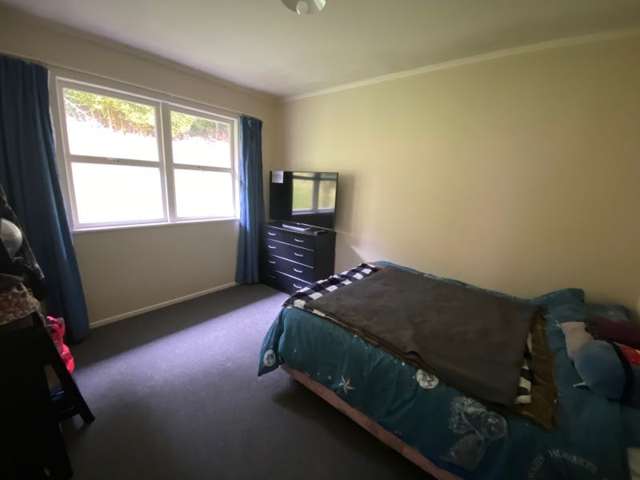 223 Maunu Road Horahora_4