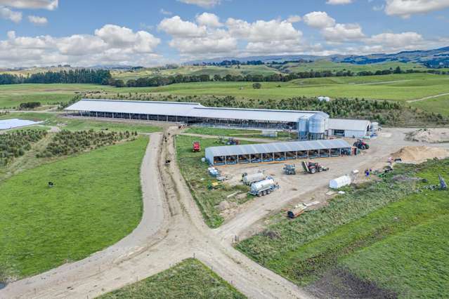 500 Willowford Road Waiwhare_1