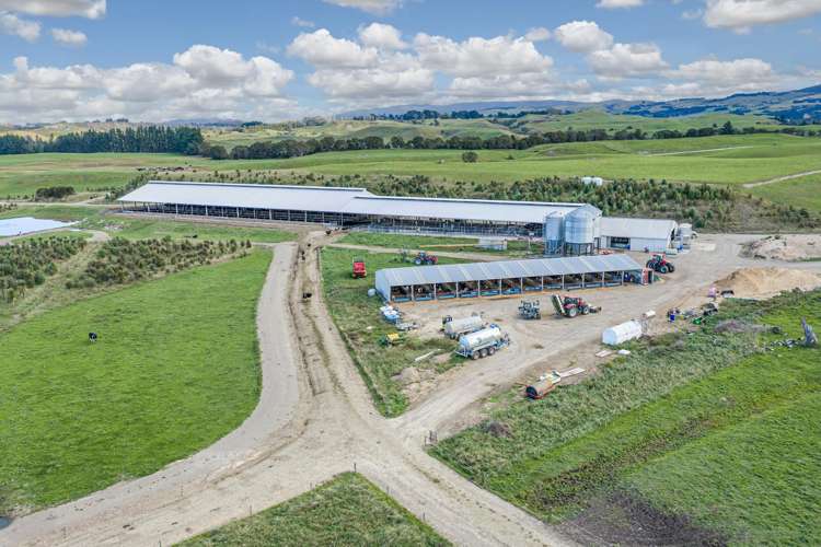 500 Willowford Road Waiwhare_1