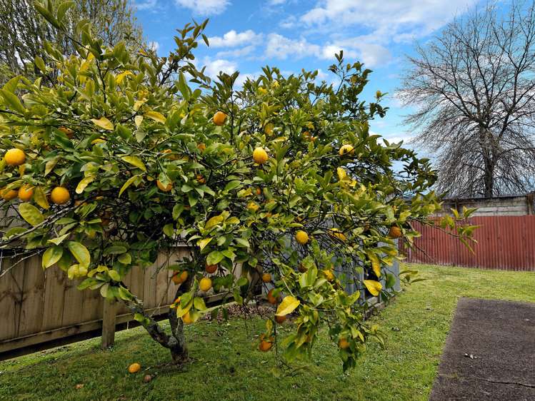 30 Garelja Road Henderson_13