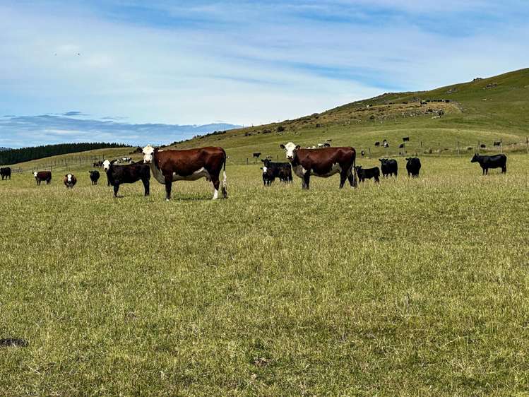 205B Dunrobin Valley Road Dunrobin_3