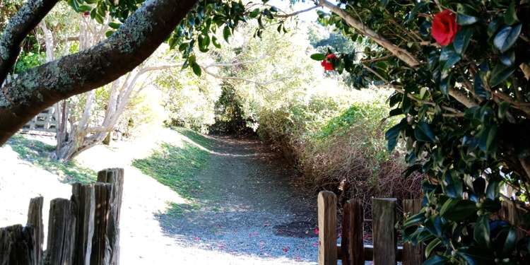 10 Harrison Street Featherston_9