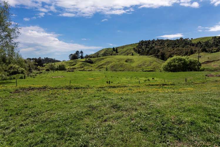 2338 State Highway 2 Opotiki_9