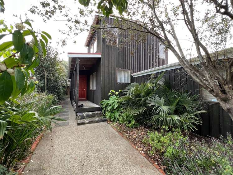 31a Marsden Avenue Mount Eden_1