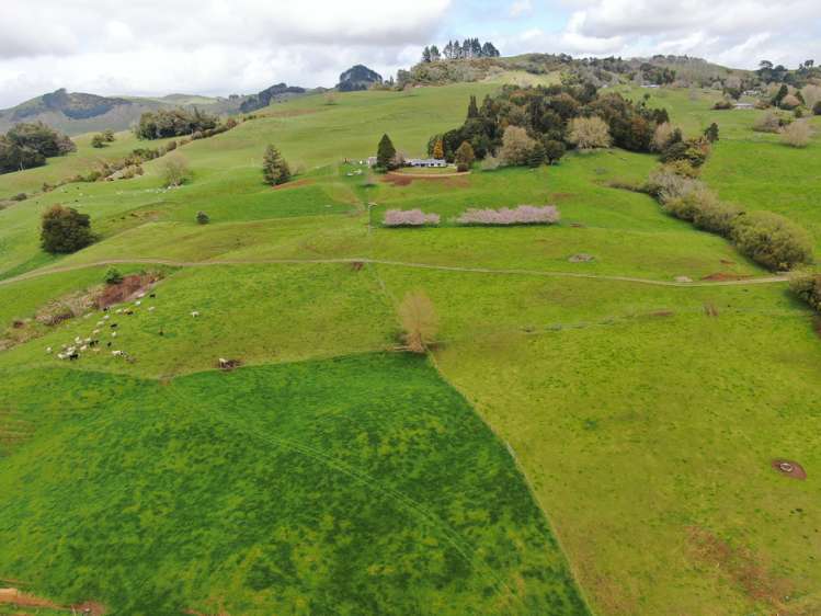 694 Troopers Road Te Kuiti_37