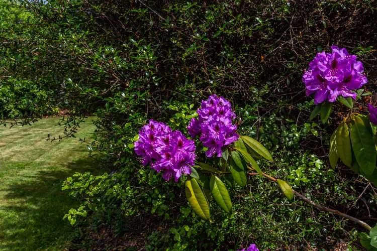 19 Hasendene Drive Lincoln_22