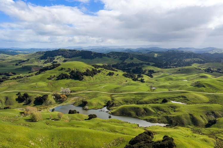 1550 Glenora Road Akitio_29