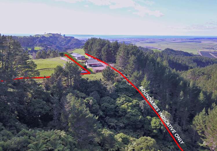 502 Reid Road Papamoa_25