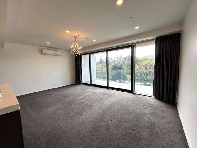 112/189 College Road Stonefields_4