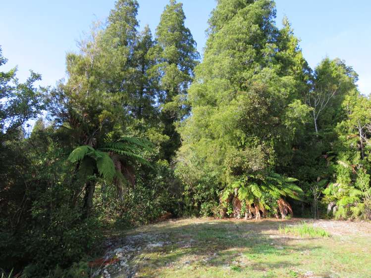 5 Mokihinui Preserve Seddonville_3