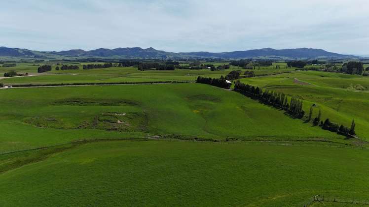 Glendhu Road Mataura_7