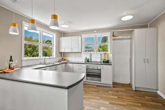 62 Huatoki Street Vogeltown_1