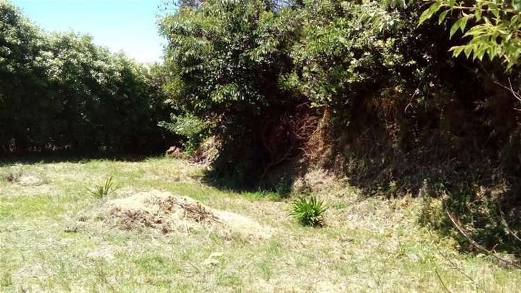 36 Roto Street Hurdon_3