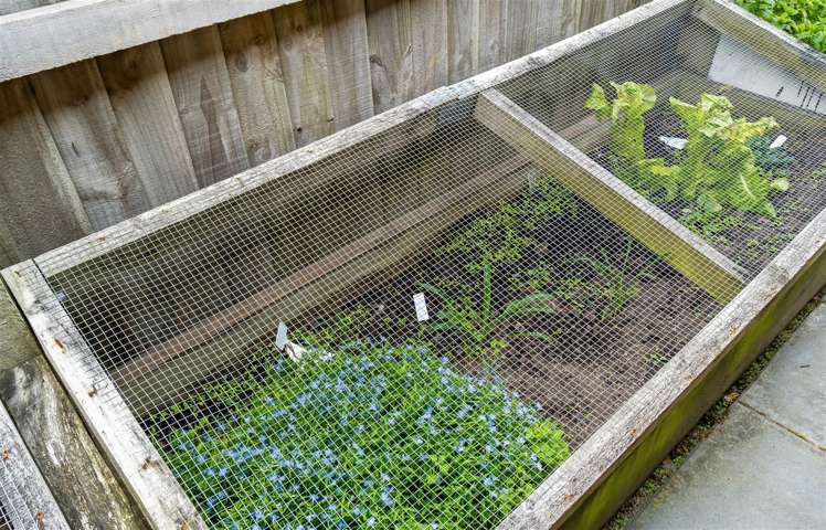 9b Maryhill Avenue Hoon Hay_11