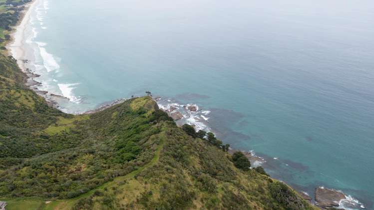 55 M Greenwood Road Leigh_13