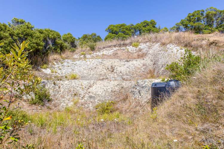 2 Lookers On Lane Kaikoura_13