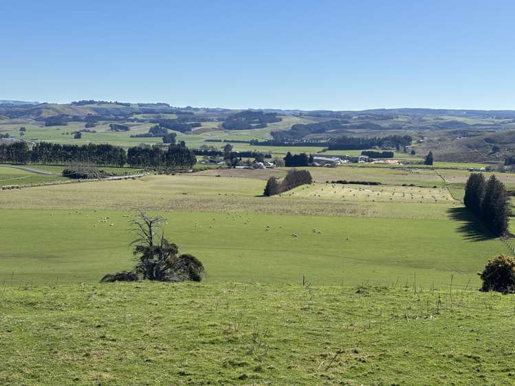 Waihola Highway Waihola_10