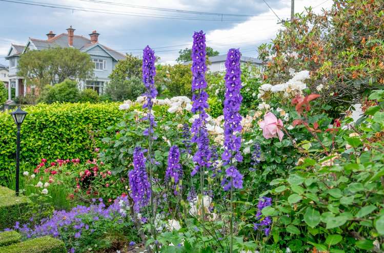 23 Sefton Street Seaview_42