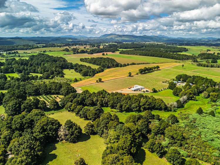 75 Thorpe Rd Kaikohe_5