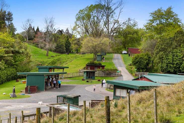Marshalls Animal Park on McLaren Falls Road, Omanawa, Bay of Plenty is on the hunt for a new owner. Photo / Supplied