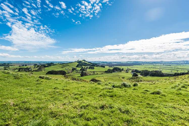 133 Kohanga Road Te Kohanga_11