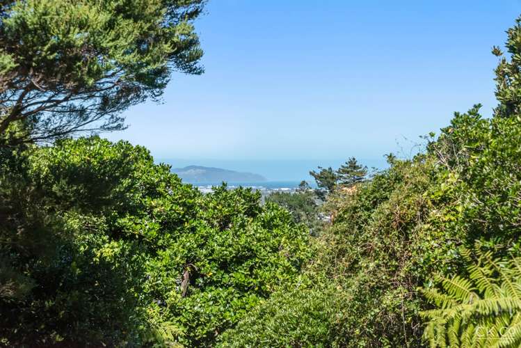 37 Belmont Terrace Belmont_21