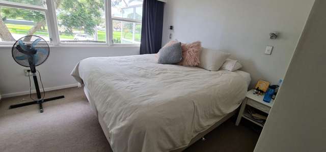 2 Woods Avenue Matua_4