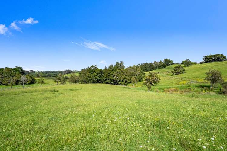 Lot 3 Prictor Rd Wellsford_10