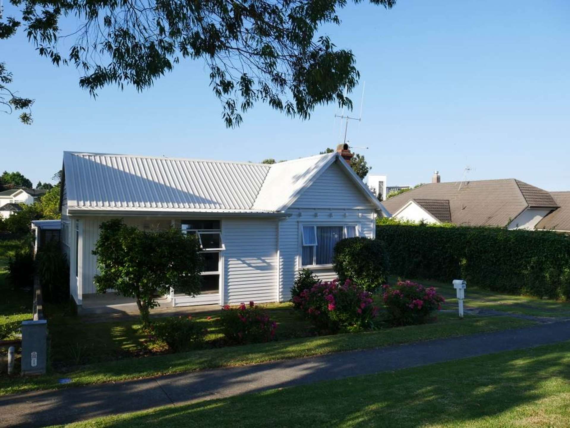 29 Monmouth Street Tauranga Central_0