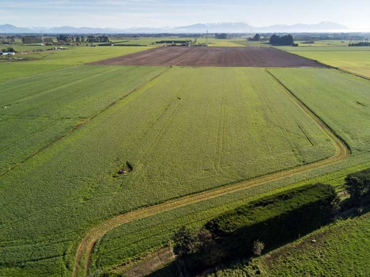 630 Grahams Road Willowby_4