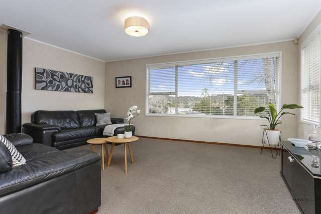 100 Captain Scott Road Glen Eden_2