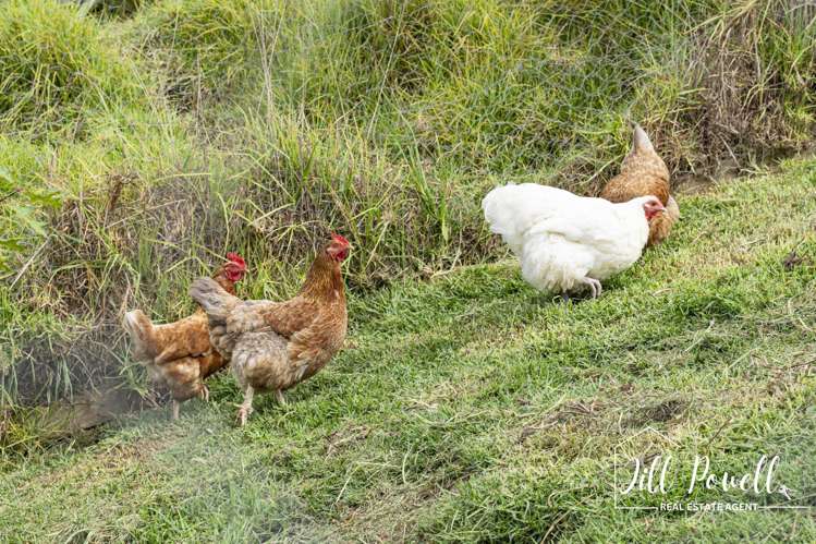 611 Bickerstaffe Road Maungaturoto_35